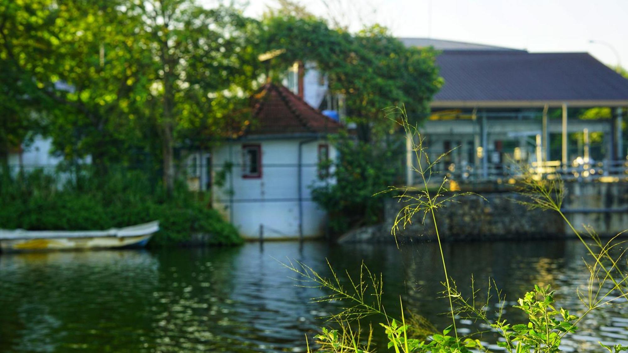 Lake Island Home Stay Dambulla Eksteriør billede